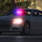 2019 Dodge Charger Pursuite Inmarked/Slisktop