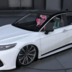 2020 Toyota Camry 6 Seater Slider