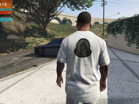 Moncler T shirt for Franklin v1