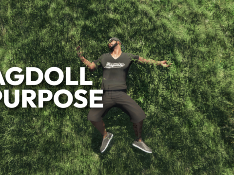 RagdollOnPurpose 1.0