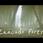 Zancudo Forest 1.0