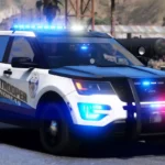 2016 Ford Polis Plutte Interceptor