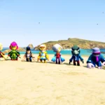 Bull Brawl Stars 1.02
