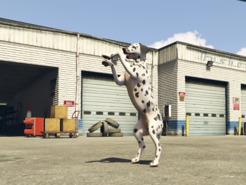 Dalmatian [Replace / FiveM] V1.0