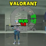 HUD 1.0 Valorant 1.0