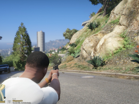 Hide Ammo Counter V1.0