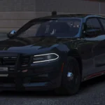 2018 Dodge Charger Unmarked