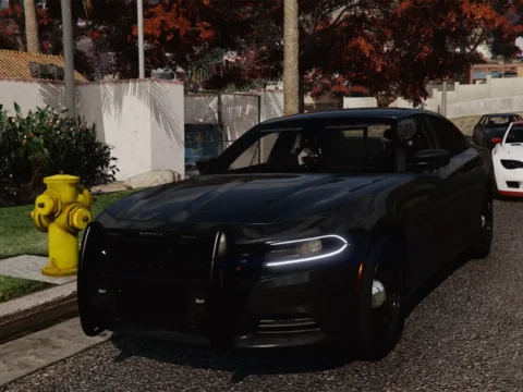 2022 Dodge Charger Unmarked