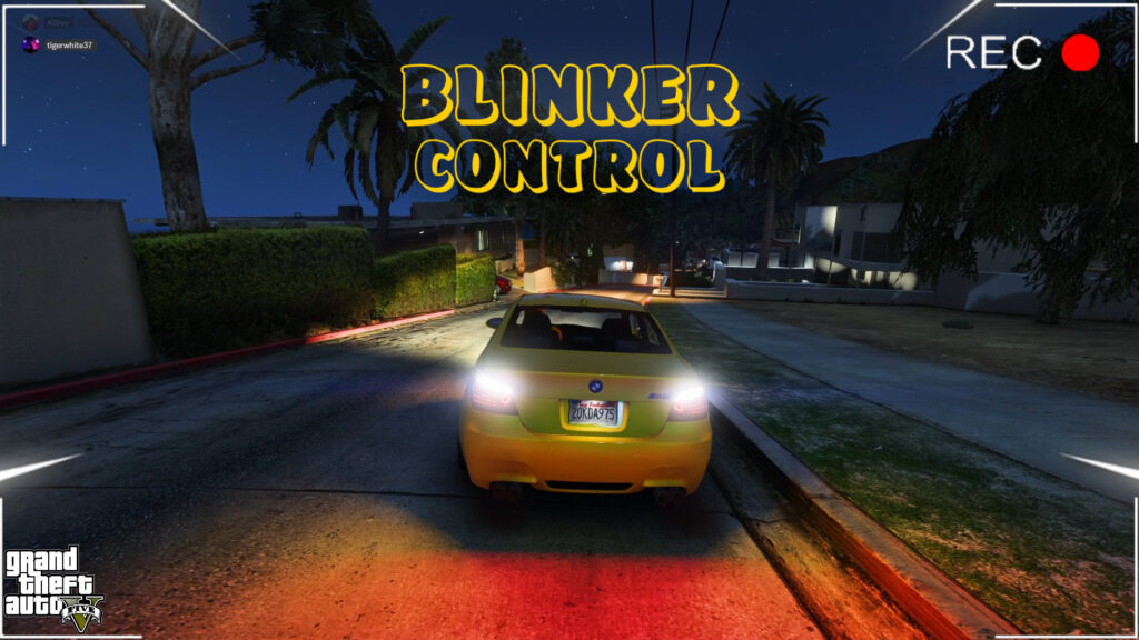 Blinker Control 1.0