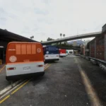 BusDrivers5