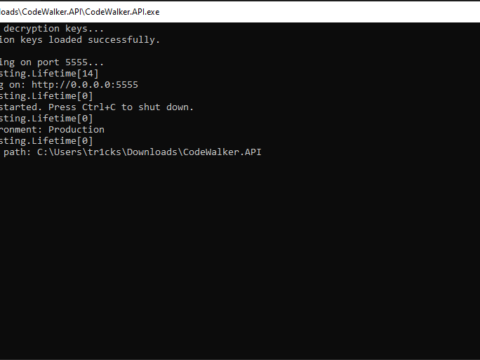 CodeWalker API v1.0.30