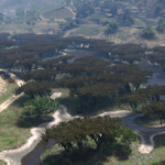 Fort Zancudo Swamp Warfare [YMAP / FiveM] V1.0
