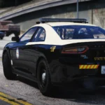 Leonida Livery Pack 1.42