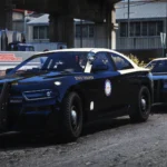 Leonida Livery Pack 1.46