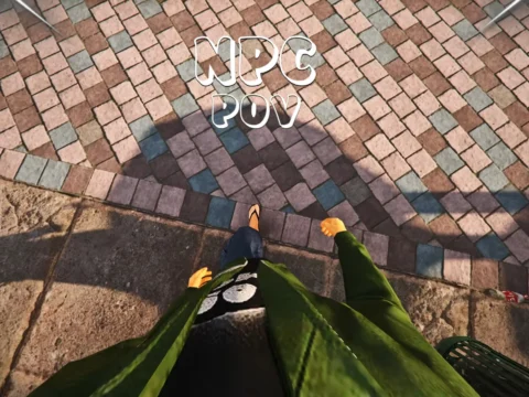 NPC POV 1.0