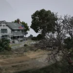 Realistic Vegetation [Updated / OIV] V2.5