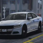 2019 Dodge Charger Unmarked3
