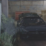 Franks Benz for Enhanced6