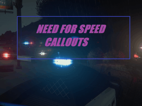 Need For Speed Callouts 1.3.8