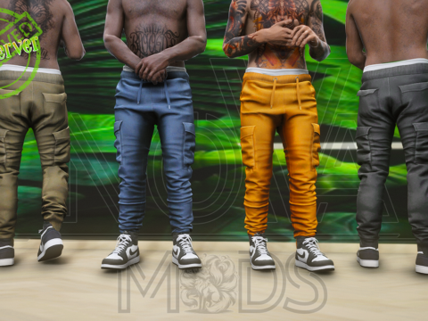 Pants for mp male 1.0