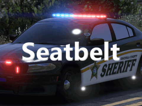 Seatbelt