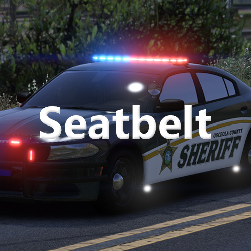 Seatbelt
