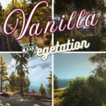 Vanilla Vegetation Overhaul [Updated / OIV] V5.0 [BETA]