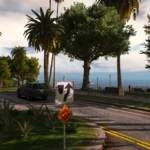 Vanilla Vegetation Overhaul [Updated / OIV] V5.0 [BETA]