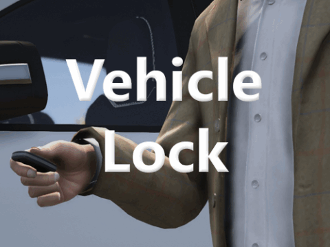 Vehicle Lock