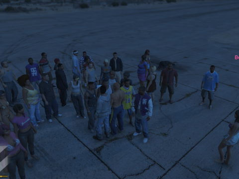 31 Bodyguard advanced menu 0.5