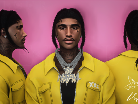 Darius Braids For MP Male 1.0