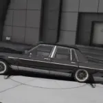 1985 Pontiac Parisienne2