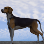 American Foxhound Dog (K9 & Non-K9) [Add-On/Replace]