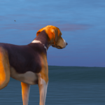 American Foxhound Dog (K9 & Non-K9) [Add-On/Replace]