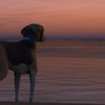 American Foxhound Dog (K9 & Non-K9) [Add-On/Replace]