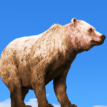 Bear [Add-On/Replace] 1.0