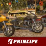 Beta Styled Bagger [Replace] V1.0