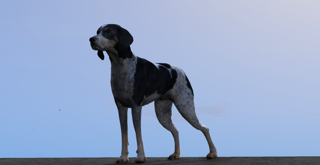 Bluetick Hound Dog