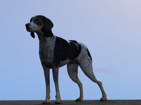 Bluetick Hound Dog
