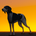 Bluetick Hound Dog3
