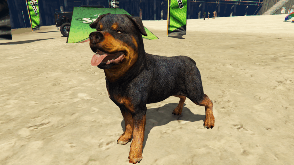 COD Warzone Rottweiler 1.0