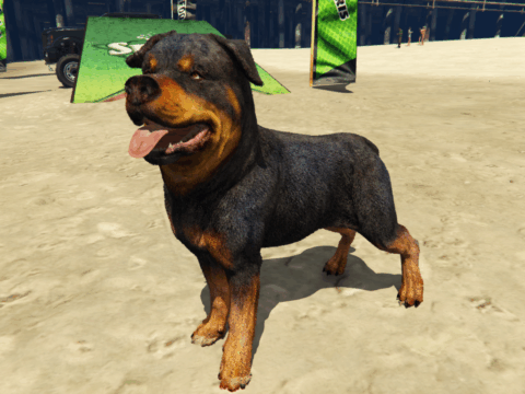 COD Warzone Rottweiler 1.0