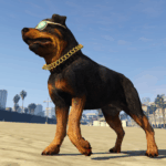 COD Warzone Rottweiler 1.02