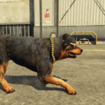 COD Warzone Rottweiler 1.06