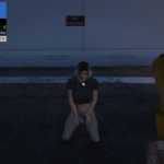 PedHostages Lite [.NET] 1.0