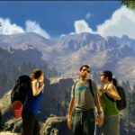 Beta Trees Mod Enhanced V2.0