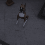 Boxer dog replace chop [Fivem ready]