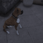 Boxer dog replace chop [Fivem ready]