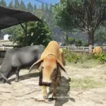 Brahman Cow Ped [Replace / FiveM] V1.0