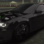 Chrysler 300 Elephant0
